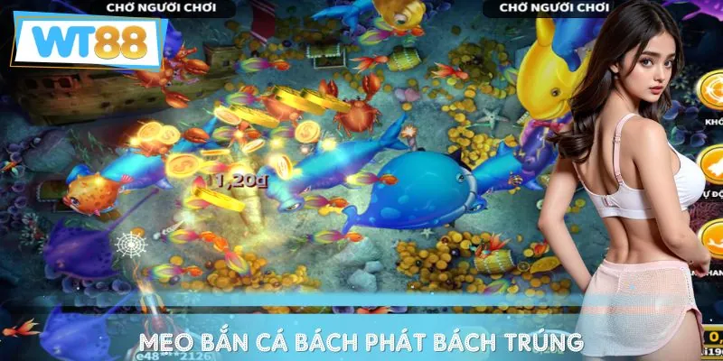 Biết chọn đúng thời điểm bắn cá sẽ giúp bạn có được phần thưởng siêu khủng