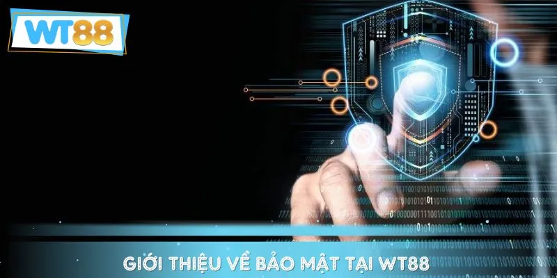 Tìm hiểu về chính sách bảo mật tại WT88