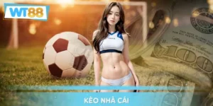 Kèo Nhà Cái - Hướng Dẫn Đọc Tỷ Lệ Chuẩn Xác Cho Tân Binh