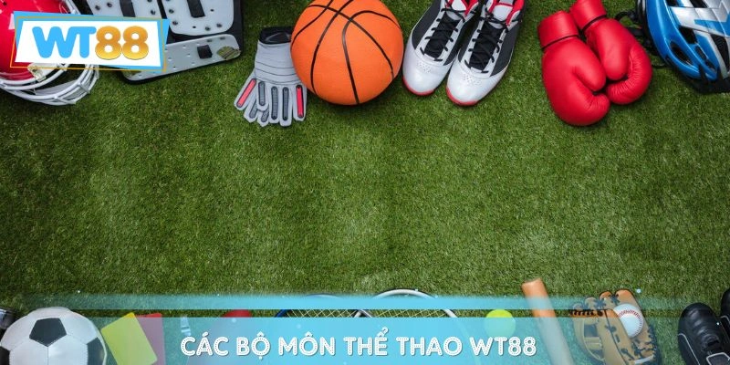 Các bộ môn thi đấu ấn tượng
