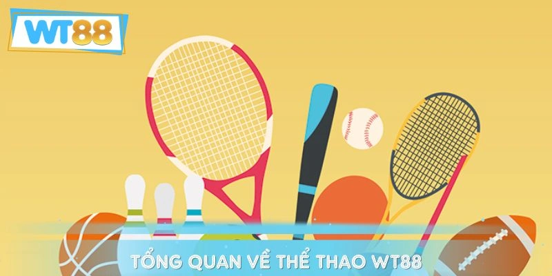 Khái quát sơ lược về sảnh chơi thể thao tại WT88
